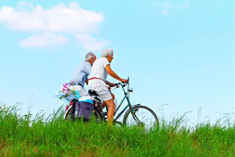 exercise cycle for senior citizens