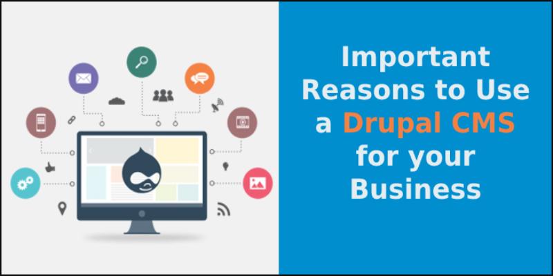 review cms drupal