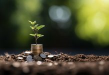 How to Invest in Tata Mutual Fund Online Mutual Fund